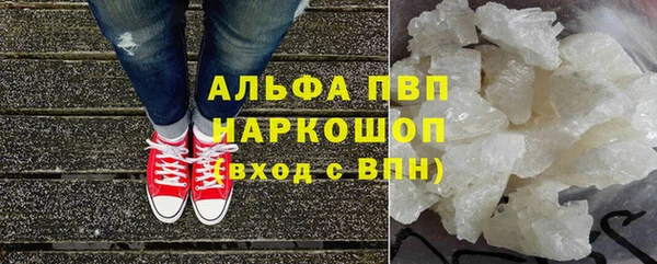 СК Арсеньев