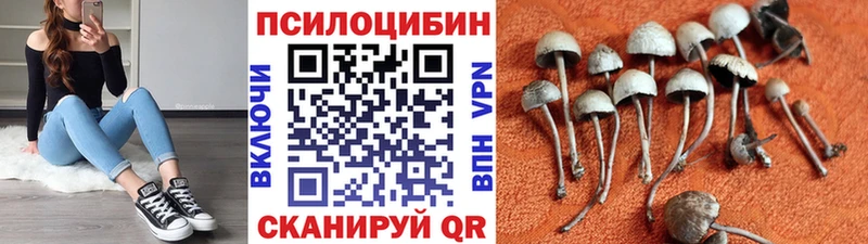 Галлюциногенные грибы мухоморы  блэк спрут ССЫЛКА  Краснослободск 